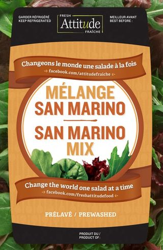 San Marino Mix - Changing the World