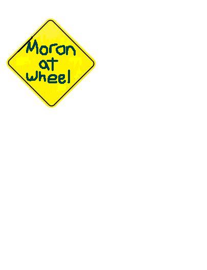 Moron at Wheel