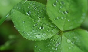 image from goodmenproject.com